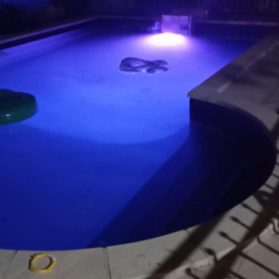 Appart Independant, 1 Lit Deux Personnes Et 1 Appoint Piscine Jardin Direct Gare Aeroport Et Jardin Toulouse Exterior foto